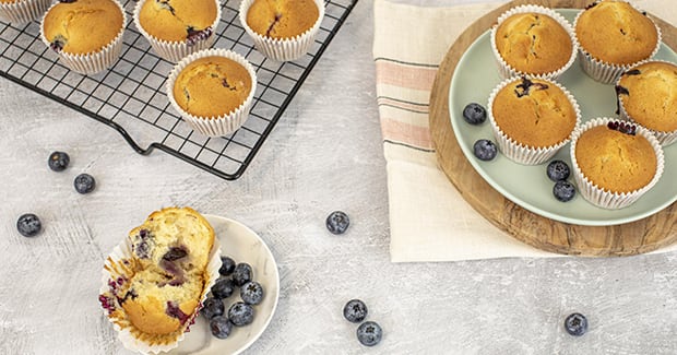 Blueberry Muffins.jfif